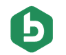 Bitnews Logo