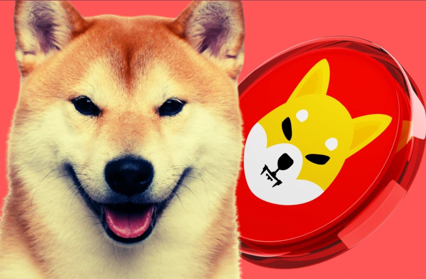 Whale pulls 500 billion SHIB as DOGE ETF nears